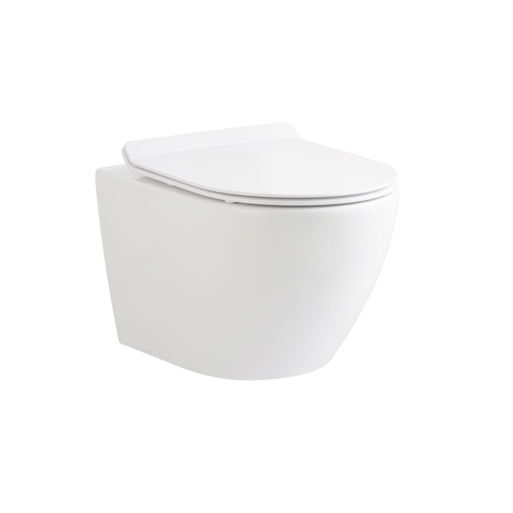 ECO HÄNGE-TOILETTE - RANDLOS - MIT SITZ - DUROPLAST - SOFT-Close - SCHNELLVERÖFFENTLICHUNG - KOMPAKT 49 CM - 36X36X49 CM - GLÄNZEND WEISS