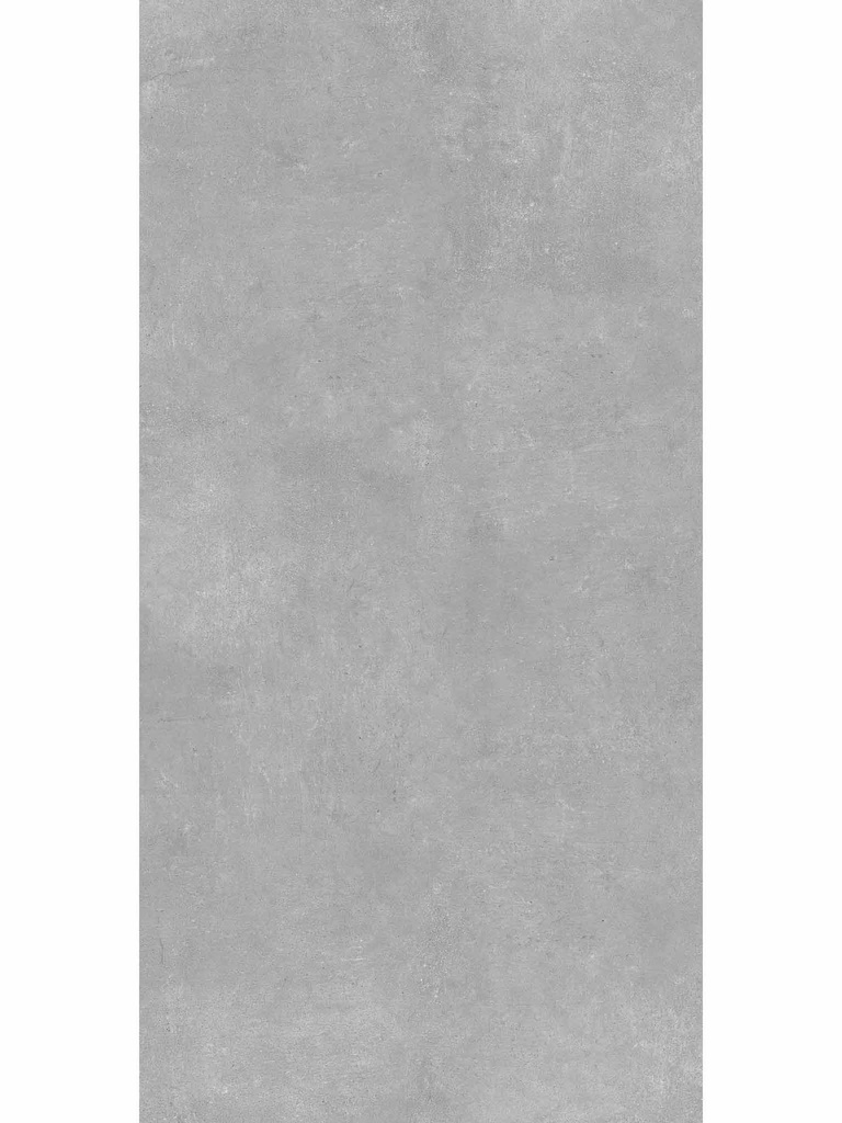 Ark Silver Feinsteinzeug 60 x 120 cm